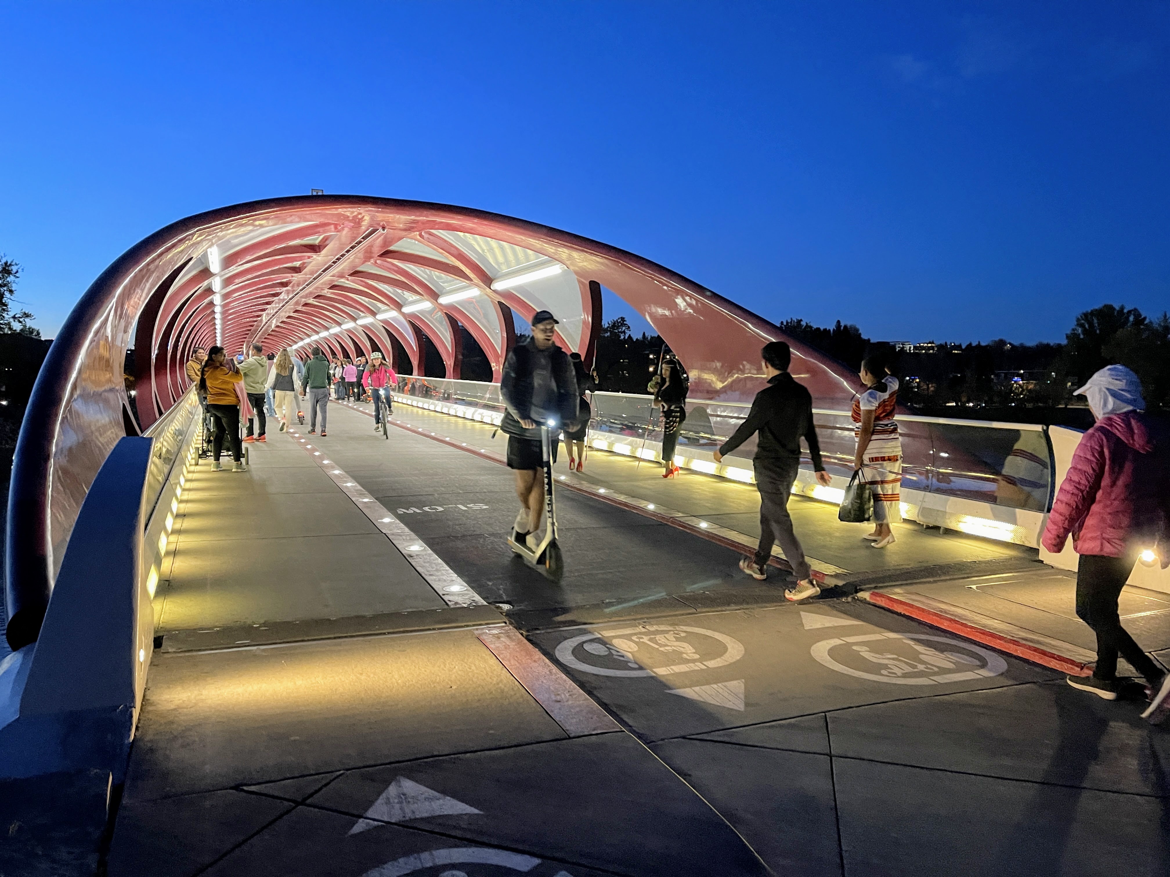 Peace Bridge at Night